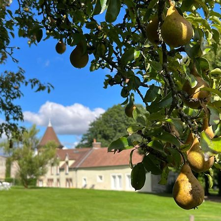 Le Petit Chateau Baye  Luaran gambar