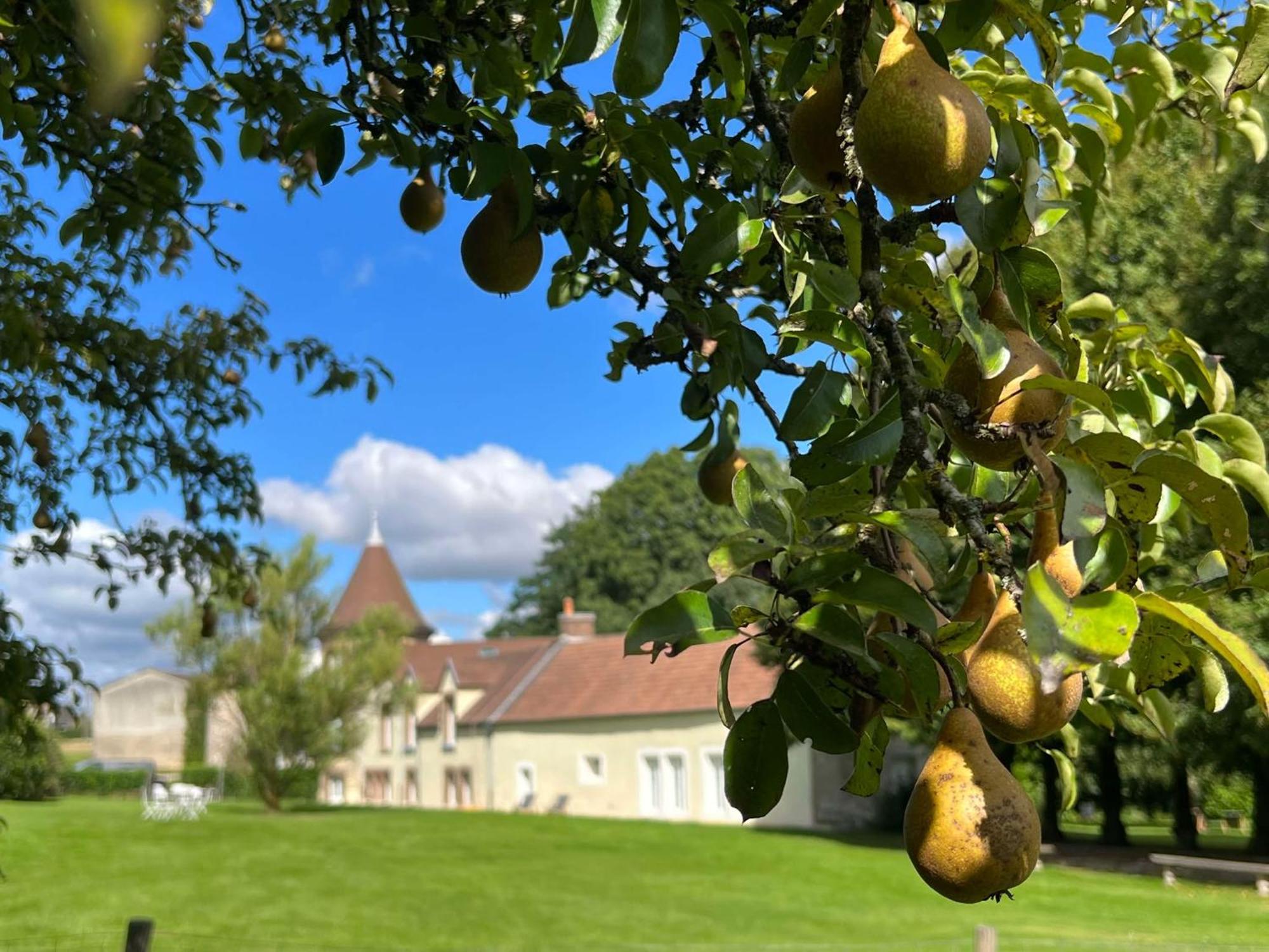 Le Petit Chateau Baye  Luaran gambar